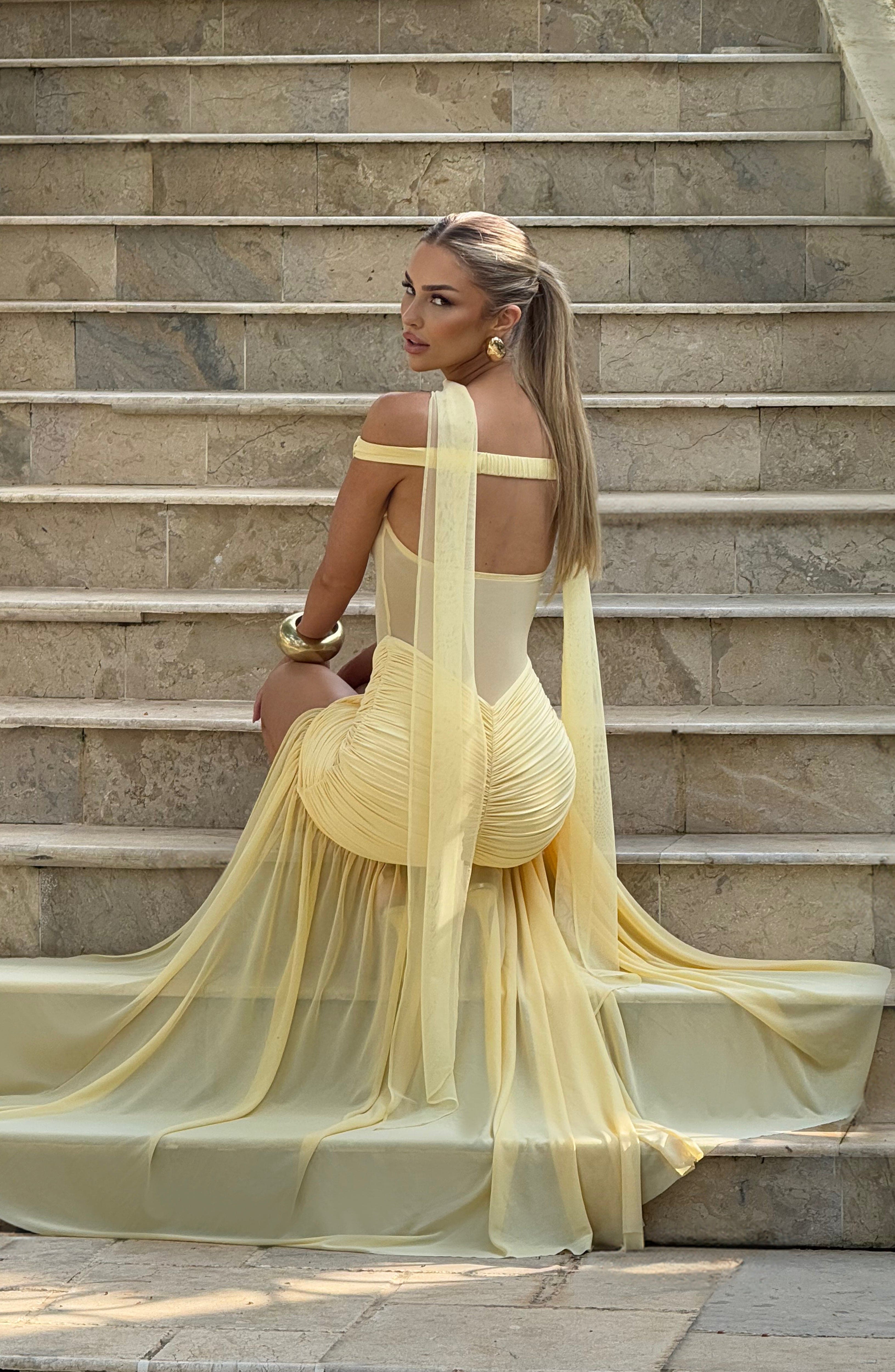 Alaia Luxe Mesh Dress